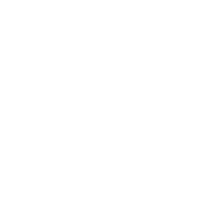 RENKA'S BIRTHDAY
